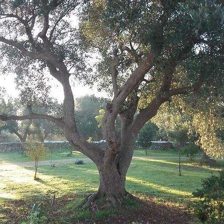 Sol Invictus Est Villa Serranova Exterior photo