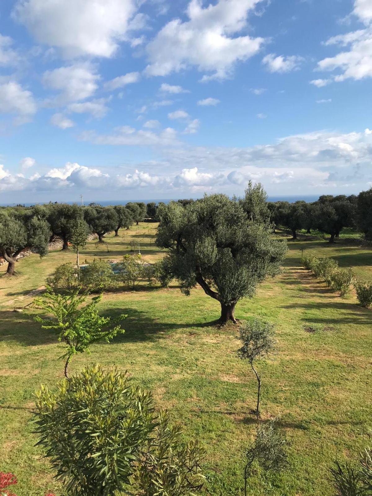 Sol Invictus Est Villa Serranova Exterior photo